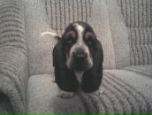 Фотография Уткиной Татьяны