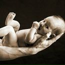 Сергій Вовк фотография #49 (источник - https://vk.com/id44699868)