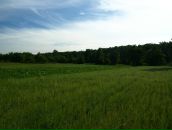 Sup Sup фотография #36 (источник - https://vk.com/id2285580)