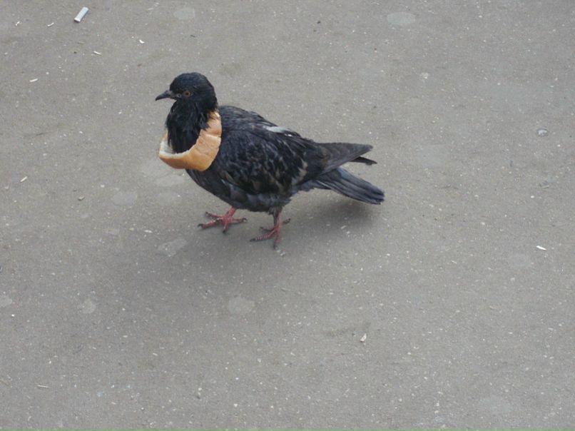 Вера Клименко фото №28