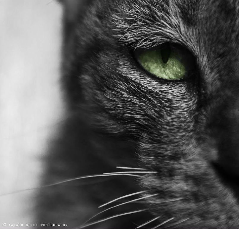 Dari Ya фотография #37