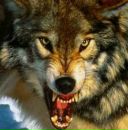 Міша Баран фотография #13 (источник - https://vk.com/id112267436)