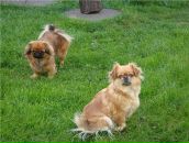 Ігор Мудрик фотография #43 (источник - https://vk.com/id85278045)