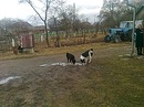 Наталя Демків фотография #4 (источник - https://vk.com/id155685746)