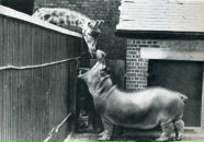 Фотография Мораньковой Евгении