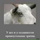 Стас Гребиньский фотография #41 (источник - https://vk.com/id85393011)