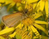 Віктор Якубовський фотография #39 (источник - https://vk.com/id8578390)