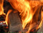 Фотография Кильдиярова Фарита