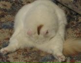 Фотография Иванов Алексей