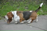 Наталія Гур'янова фотография #11 (источник - https://vk.com/id30916353)