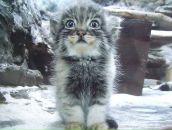 Фотография Поляковой Кати