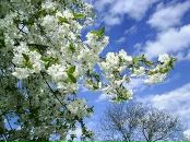 Маріна Жданова фотография #18 (источник - https://vk.com/id132297679)