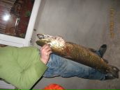 Вова Войтів фотография #31 (источник - https://vk.com/id49921773)