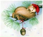 Фотография Лугманова Радика