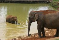 Даша Дашина фотография #5 (источник - https://vk.com/id2891457)