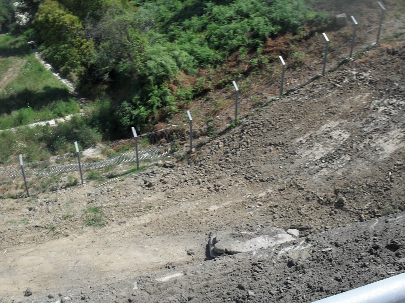 Дмитрий Штапов фотография #49