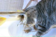 Фотография Вересова Николая