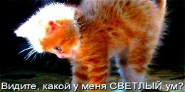 Фотография Аксаевой Надюшки