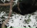 Ігор Панасенко фотография #34 (источник - https://vk.com/id30625196)