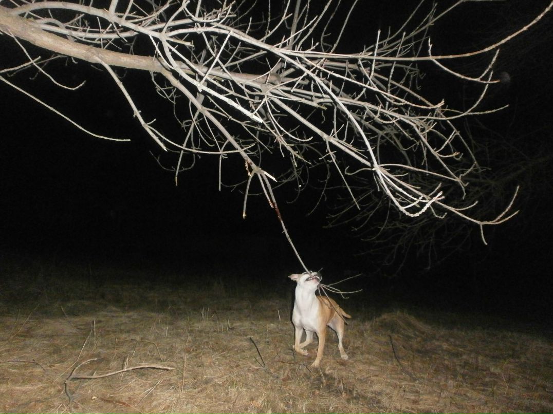 Роман Василенко фотография #44