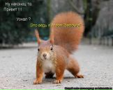 Фотография Смирнова Александра