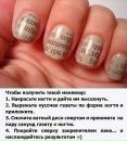 Птічка Кевін фотография #36 (источник - https://vk.com/id86495719)