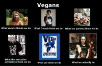 Pluscha Black фотография #7 (источник - https://vk.com/id20012802)