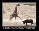 Анатолій Тюска фотография #8 (источник - https://vk.com/id11462576)