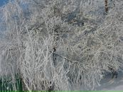 Міша Симонович фотография #16 (источник - https://vk.com/id112931560)
