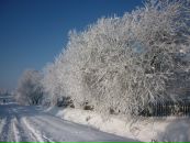 Міша Симонович фотография #12 (источник - https://vk.com/id112931560)