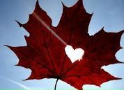 Фотография Вострухиной Дарьи