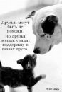 Вікуся Дубанич фотография #21 (источник - https://vk.com/id51640552)