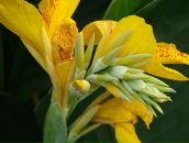 Сергей Ануленко фотография #1