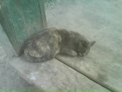 Фотография Коршунова Никиты