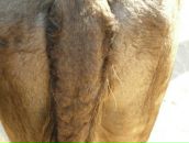 Фотография Нечаева Андрея