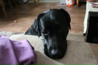 Фотография Владимировича Дмитрия