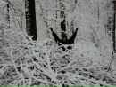 Руслан Карбівничий фотография #10 (источник - https://vk.com/id160907170)