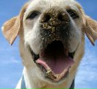 Фотография Александровой Екатерины