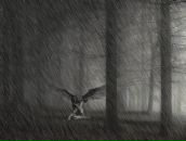 Іра Іванова фотография #46 (источник - https://vk.com/id16025424)