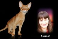 Танюша Вишнівська фотография #48 (источник - https://vk.com/id97274140)