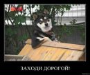 Сергій Старух фотография #50 (источник - https://vk.com/id162732006)