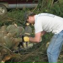 Ira Ruegsegger фотография #48 (источник - https://vk.com/id1741872)