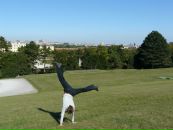 Фотография Серебренниковой Ольги