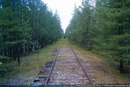 Фотография Куликовой-Верещак Александры
