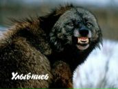 Фотография Шимко Юлии