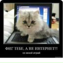 Аня Сілкова фотография #33 (источник - https://vk.com/id142446925)