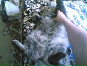 Фотография Наурузова Ольга