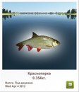 Вася Телічук фотография #9 (источник - https://vk.com/id131637455)