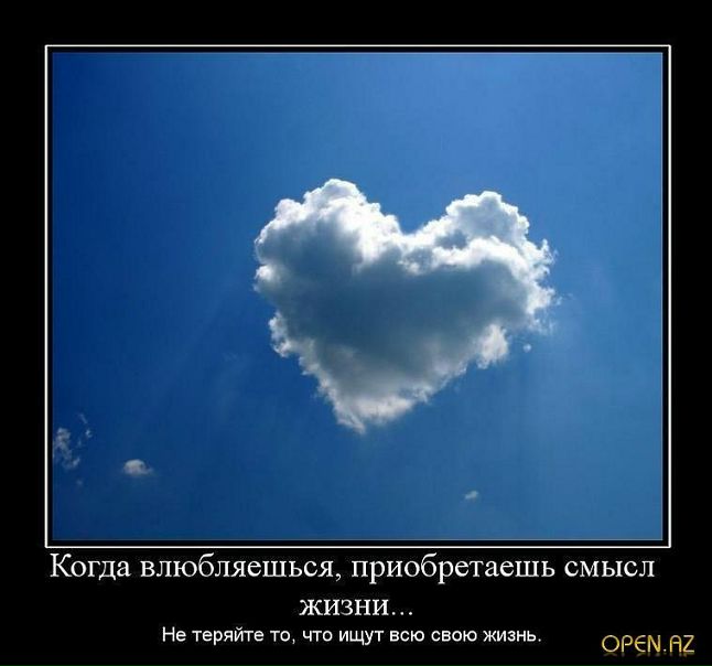 Дима Безруков фото №24