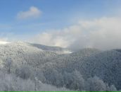 Андрюха Кіптель фотография #33 (источник - https://vk.com/id3545054)